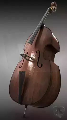 Double bass