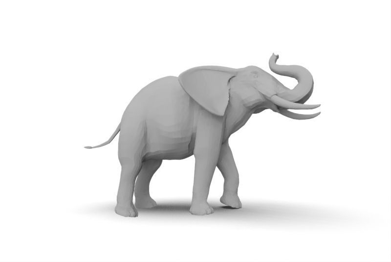 African elephant 3D print model_1