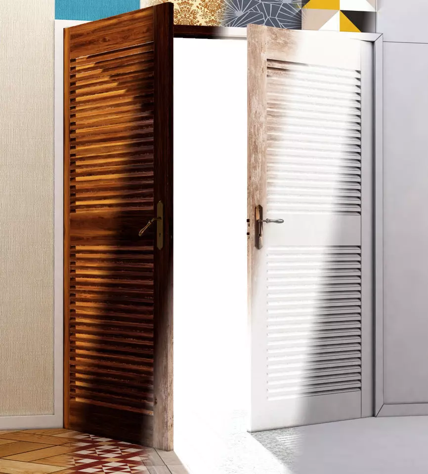 DOOR---Double leaf Low-poly 3D model_0