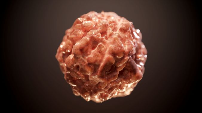 Guts Human Flesh PBR SEAMLESS Texture Texture