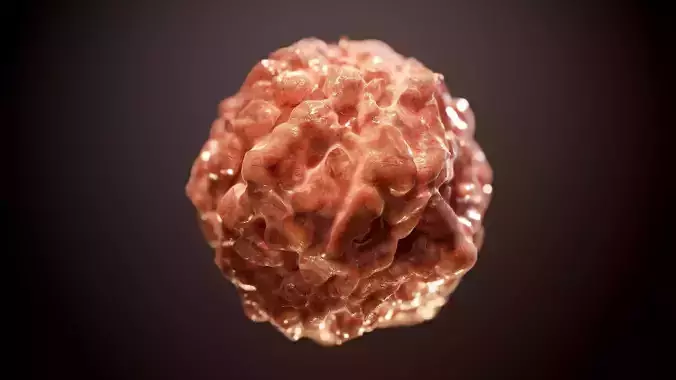 Guts Human Flesh PBR SEAMLESS Texture Texture
