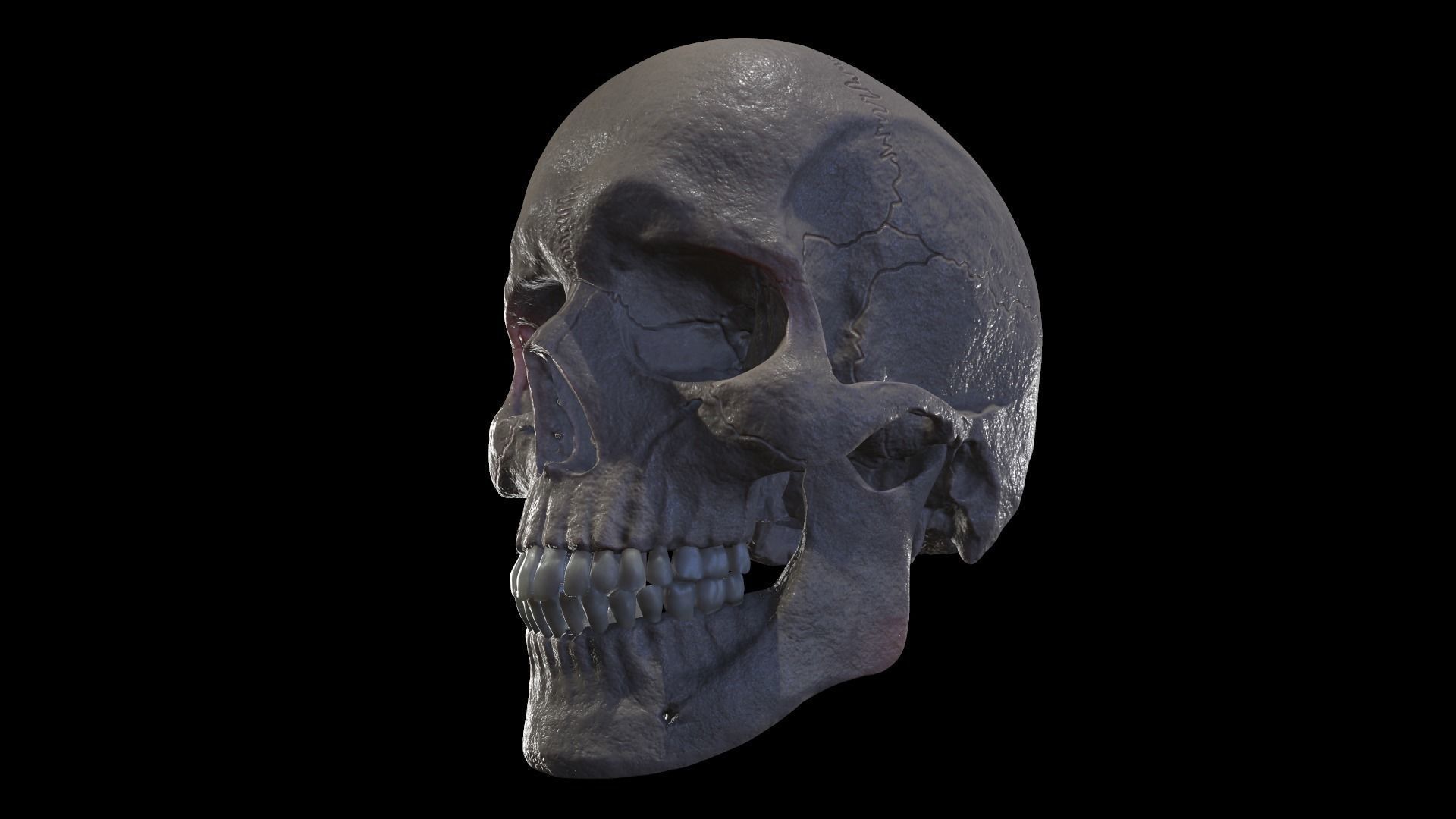 Anatomically Correct Realistic Human Skull Low-poly 3D model_1