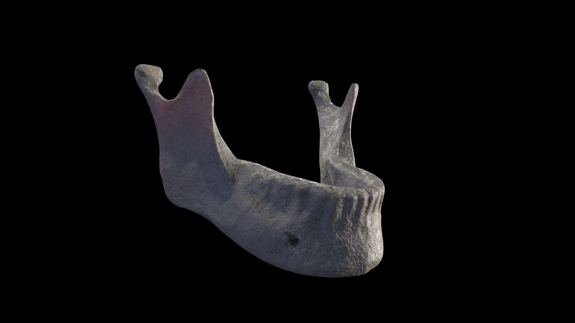 Anatomically Correct Realistic Human Skull Low-poly 3D model_17