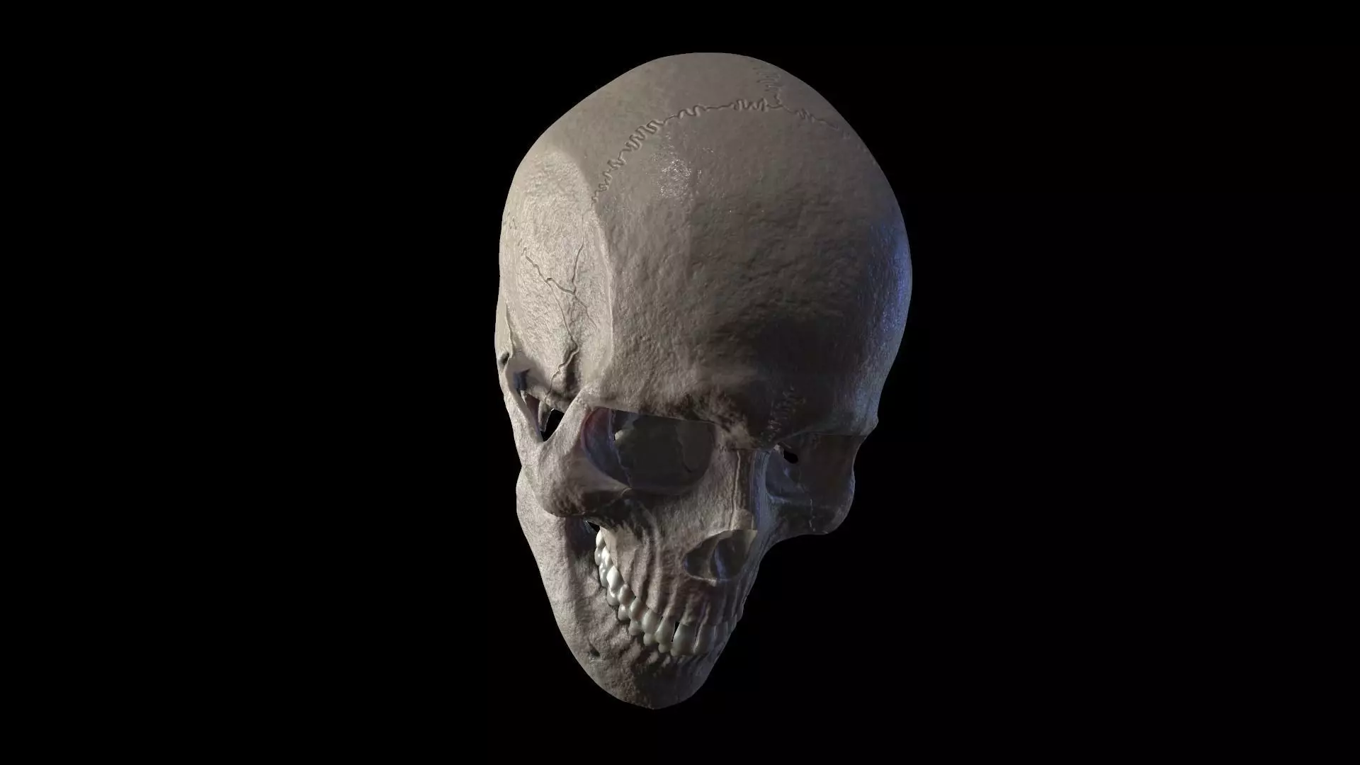Anatomically Correct Realistic Human Skull Low-poly 3D model_0