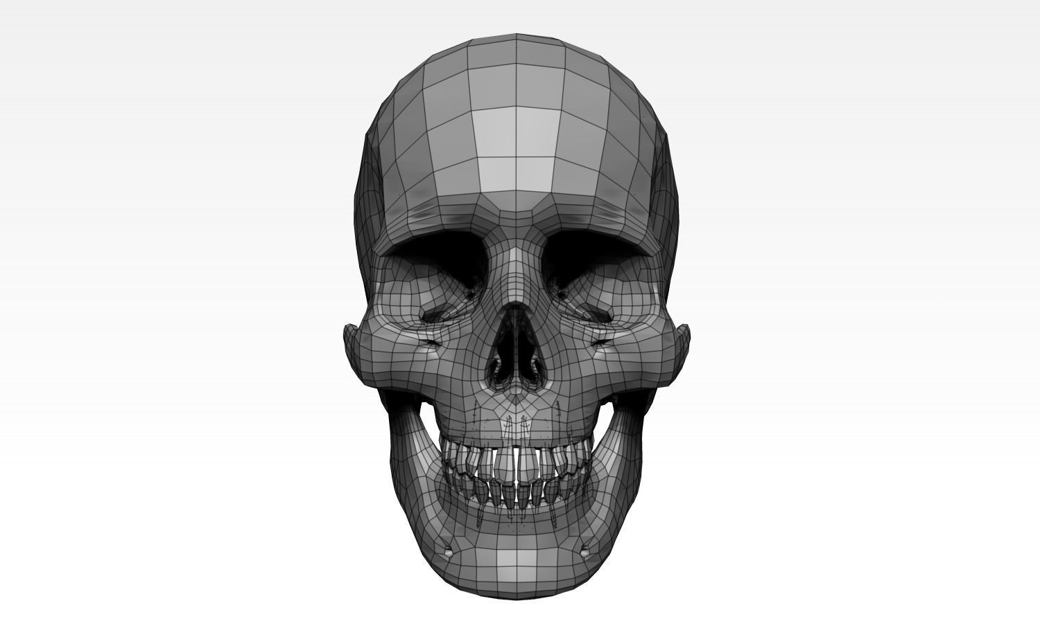 Anatomically Correct Realistic Human Skull Low-poly 3D model_26