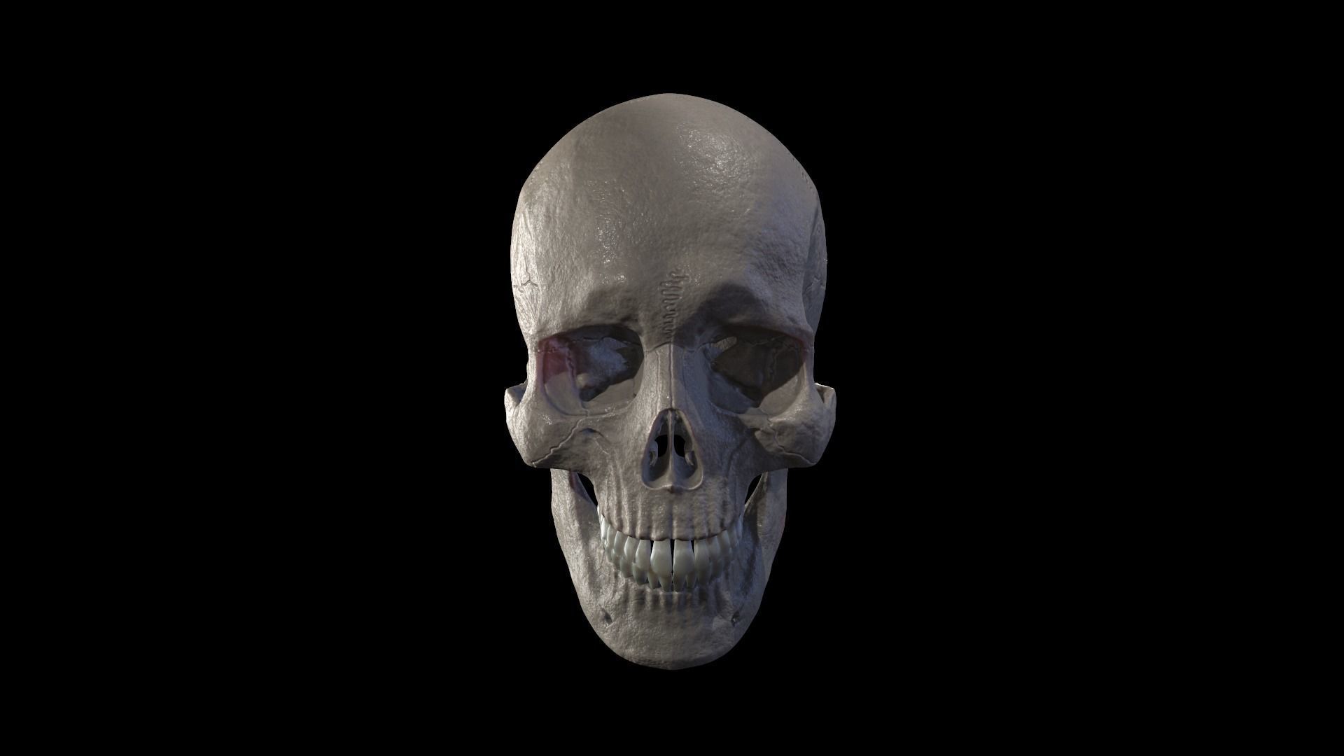 Anatomically Correct Realistic Human Skull Low-poly 3D model_2