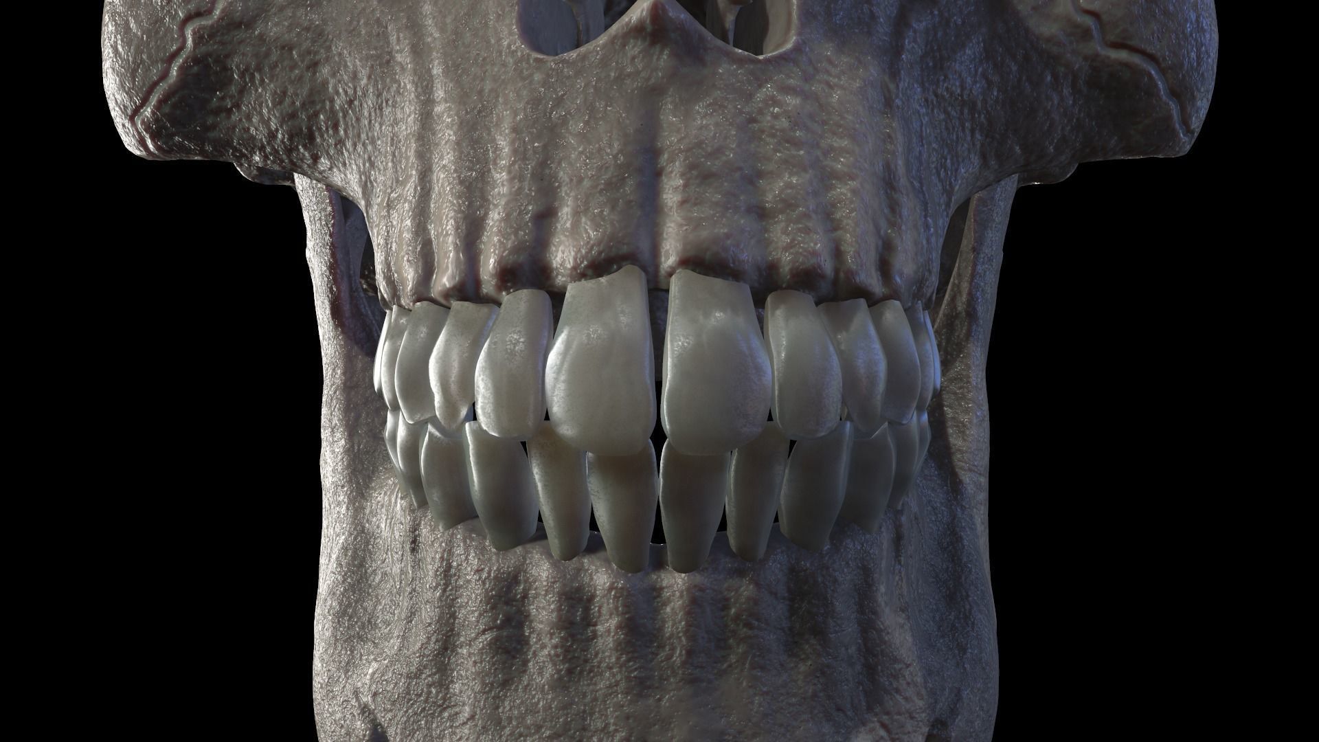 Anatomically Correct Realistic Human Skull Low-poly 3D model_11