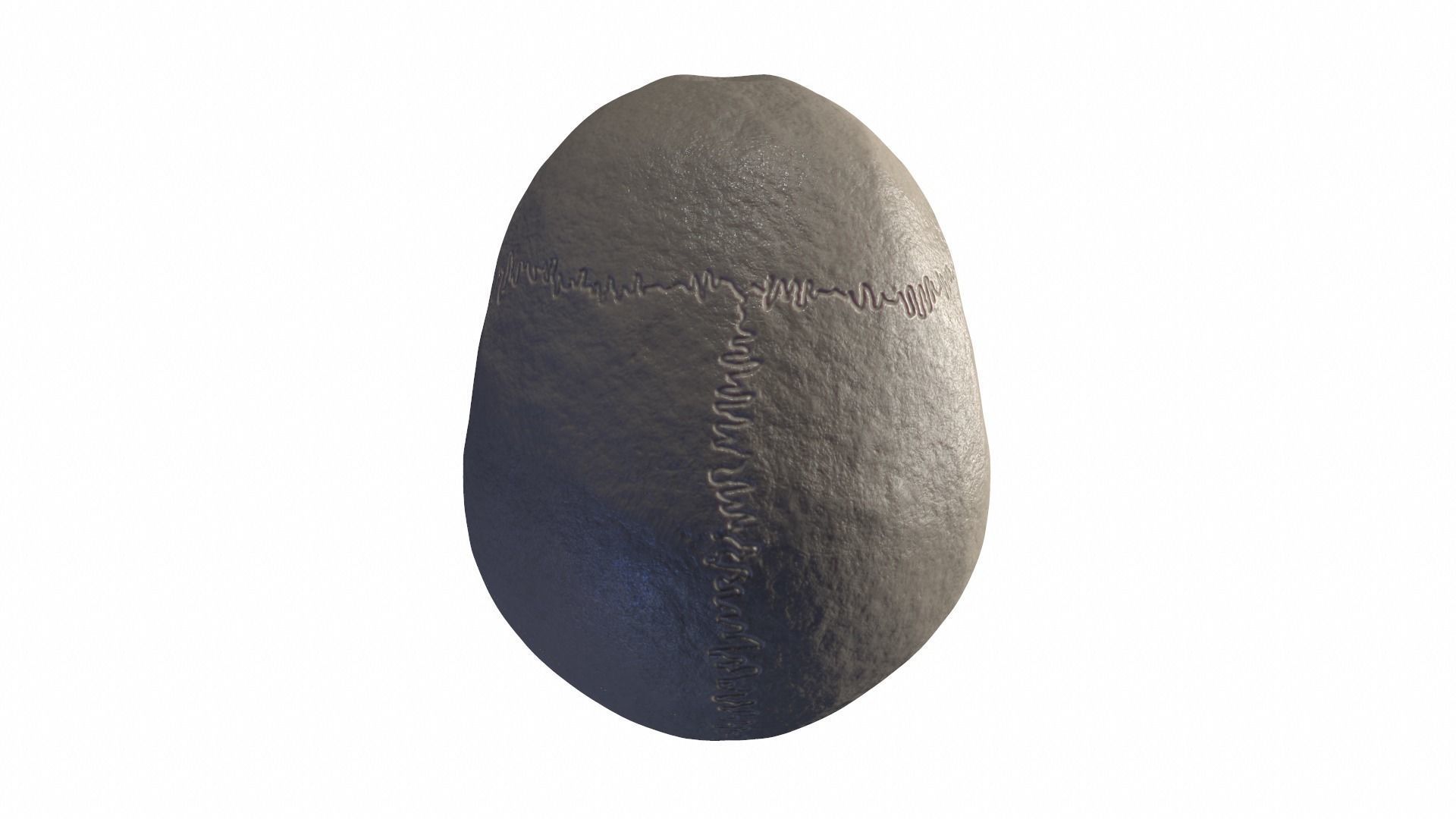 Anatomically Correct Realistic Human Skull Low-poly 3D model_20