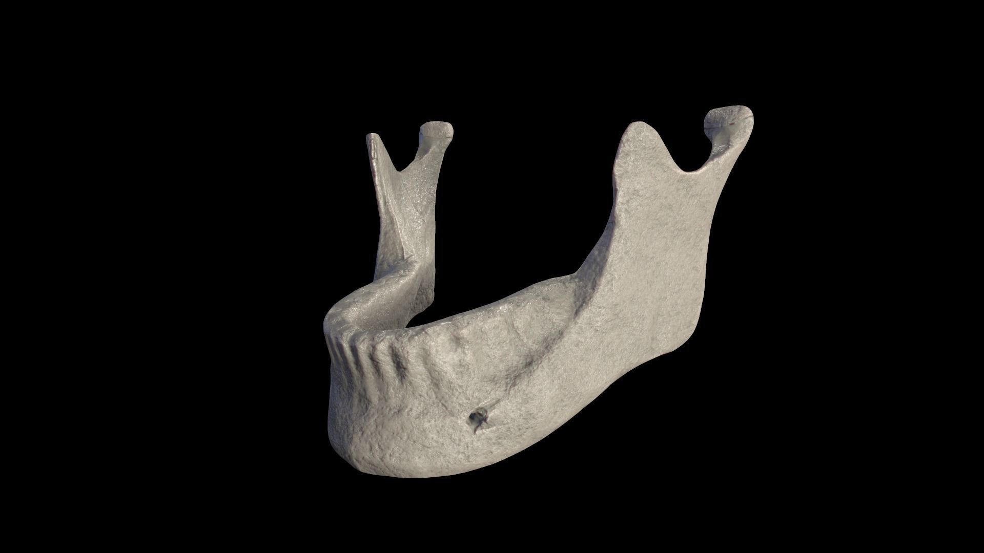 Anatomically Correct Realistic Human Skull Low-poly 3D model_16