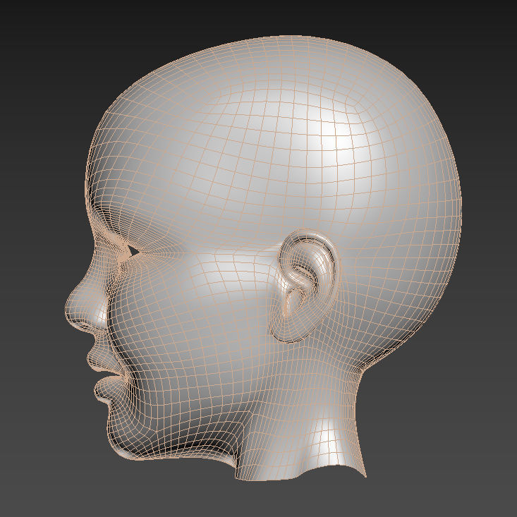 Spline Model Child Head Sculpt 3D model_3