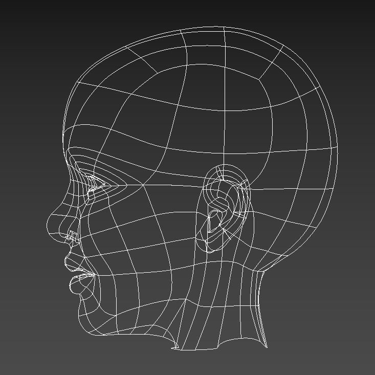 Spline Model Child Head Sculpt 3D model_4
