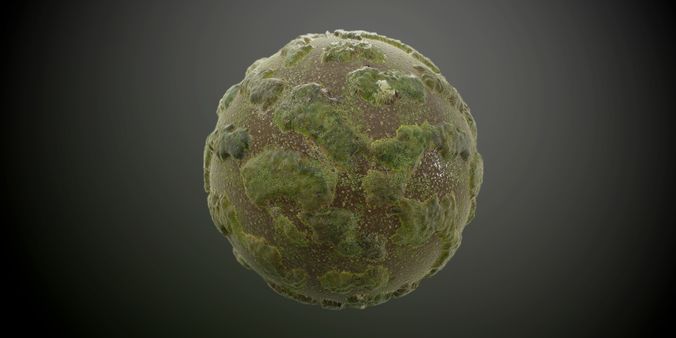 Mossy Lake Landscape Seamless PBR Texture Texture