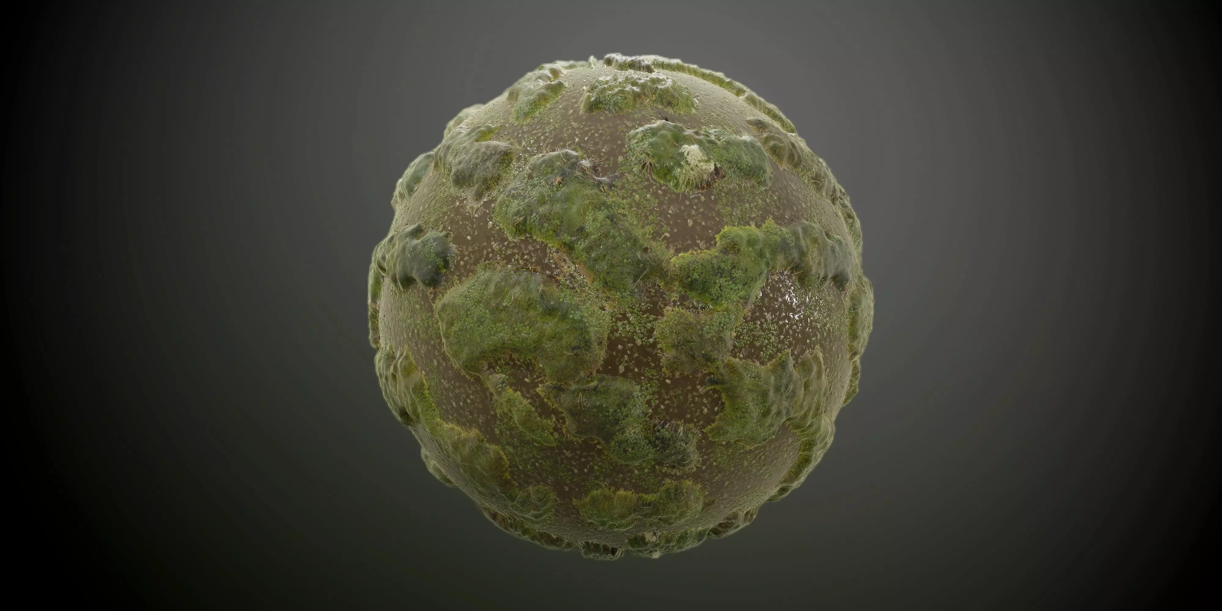 Mossy Lake Landscape Seamless PBR Texture Texture_0