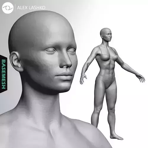 Muscular Female Basemesh