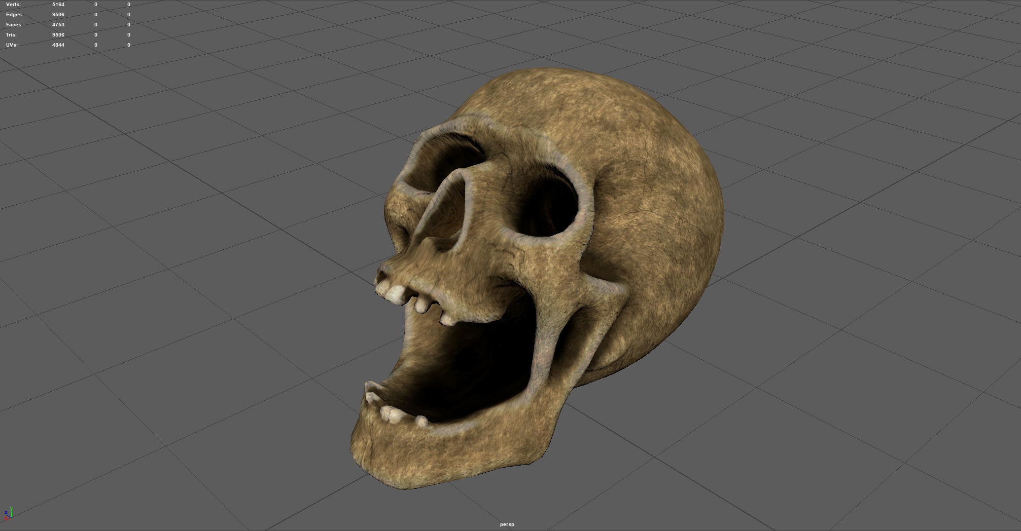Skull Low poly Low-poly 3D model_1