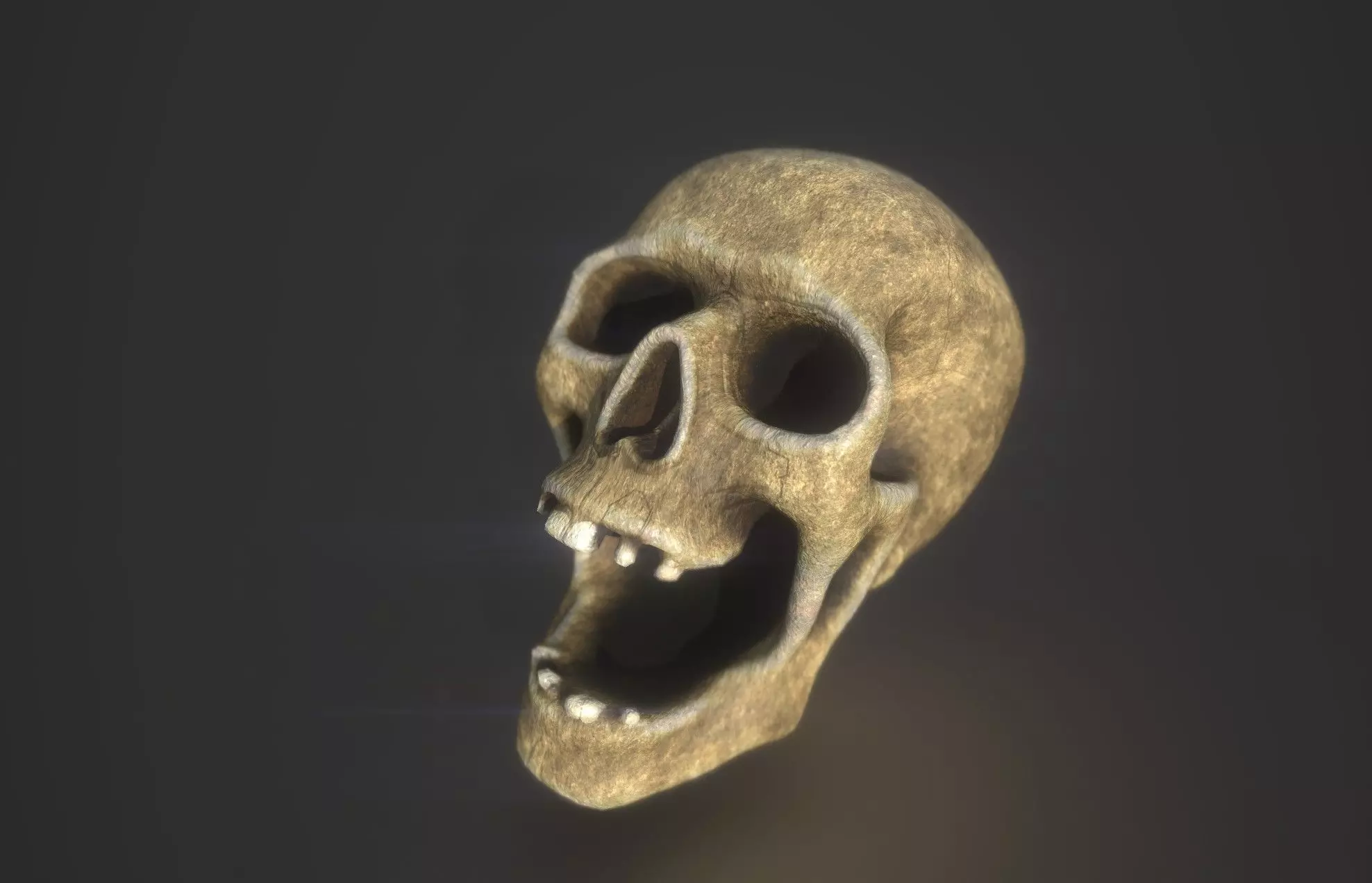 Skull Low poly Low-poly 3D model_0