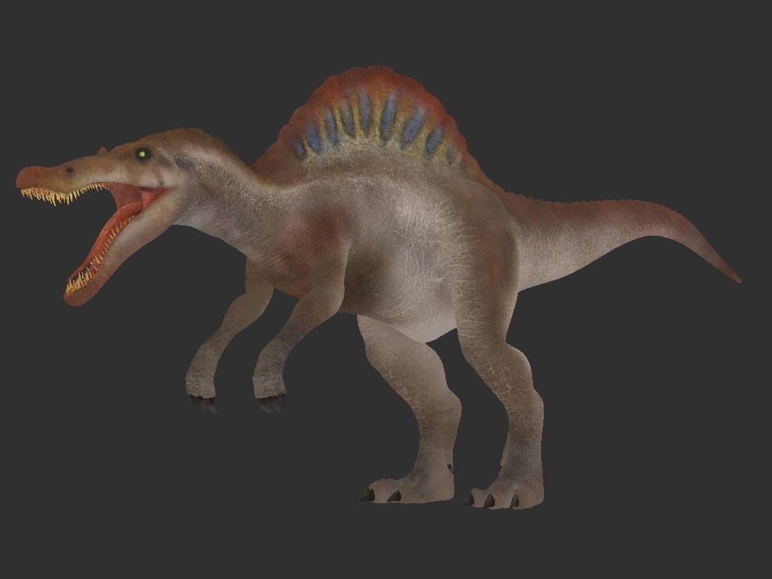 Spinosaurus For your Games or Animations Blender 3D Model  Low-poly 3D model_9