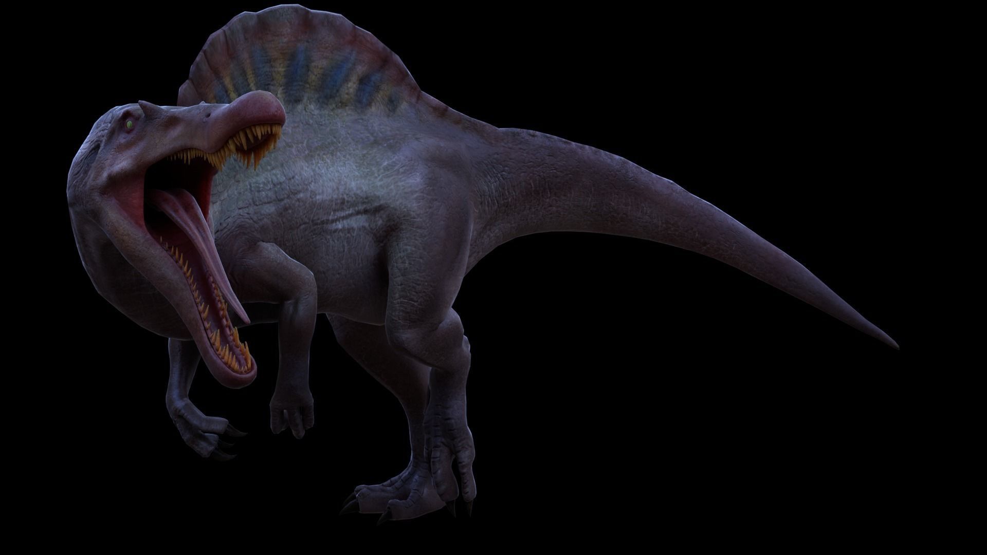 Spinosaurus For your Games or Animations Blender 3D Model  Low-poly 3D model_17