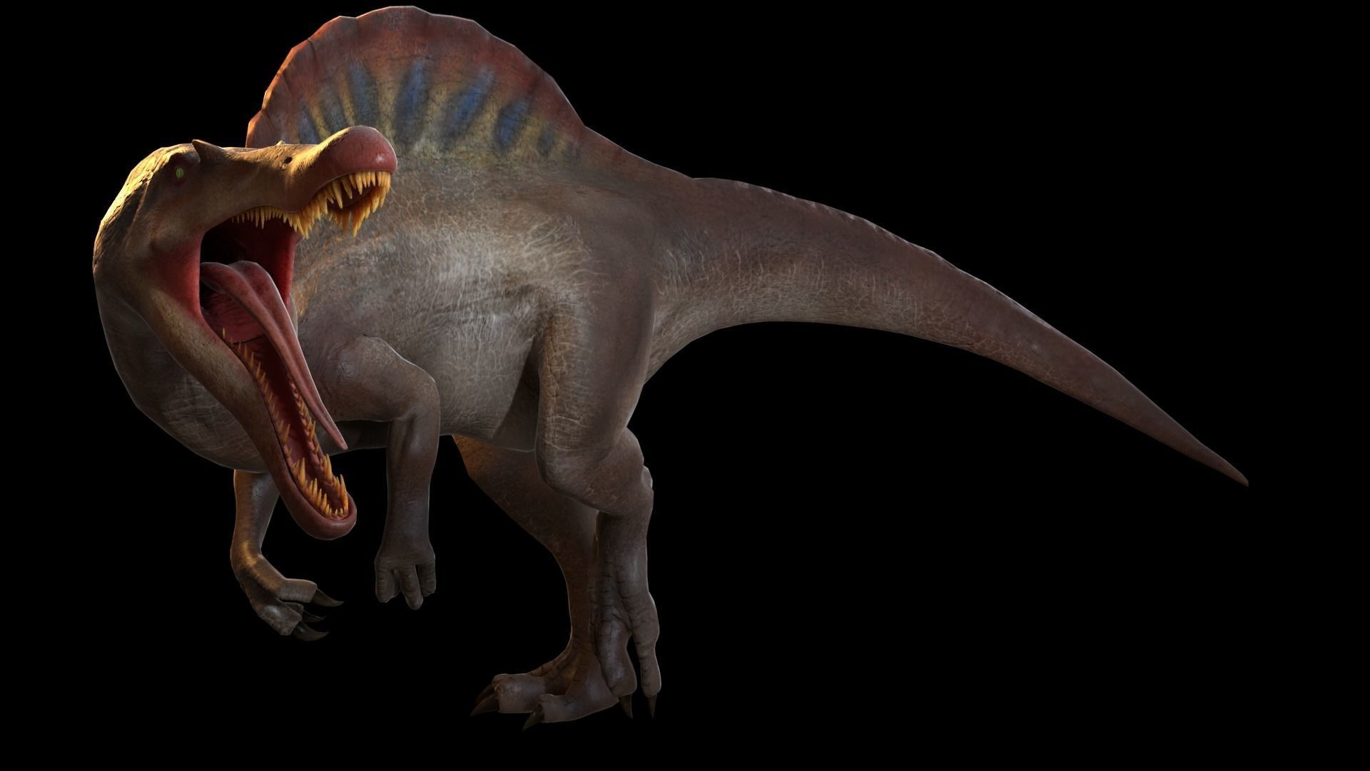 Spinosaurus For your Games or Animations Blender 3D Model  Low-poly 3D model_18