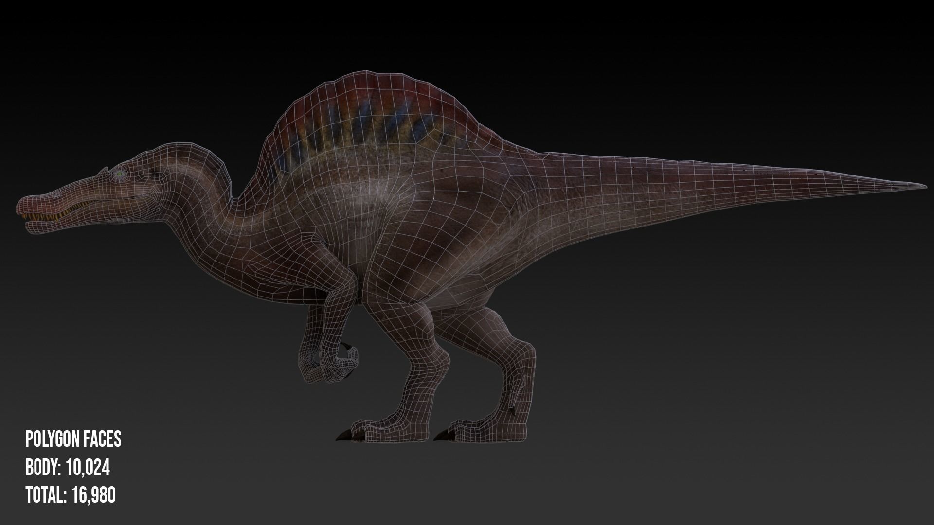 Spinosaurus For your Games or Animations Blender 3D Model  Low-poly 3D model_4