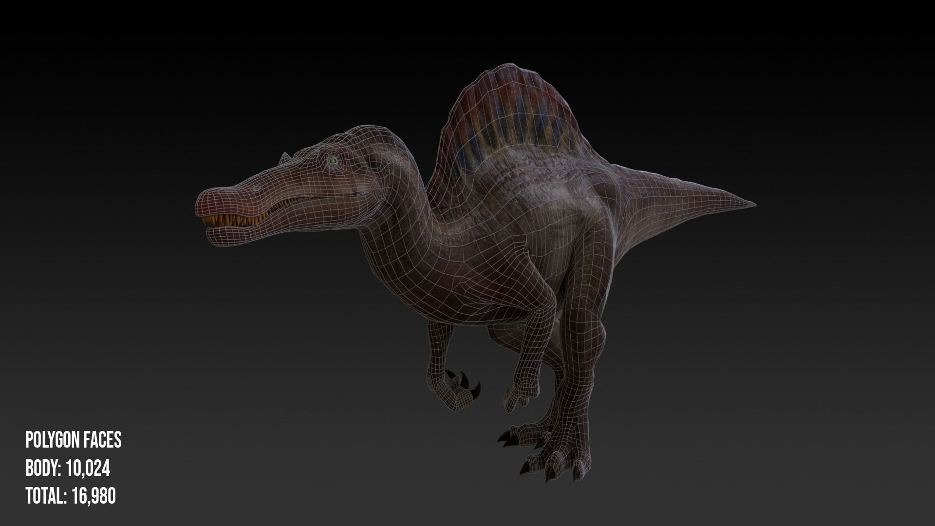 Spinosaurus For your Games or Animations Blender 3D Model  Low-poly 3D model_2