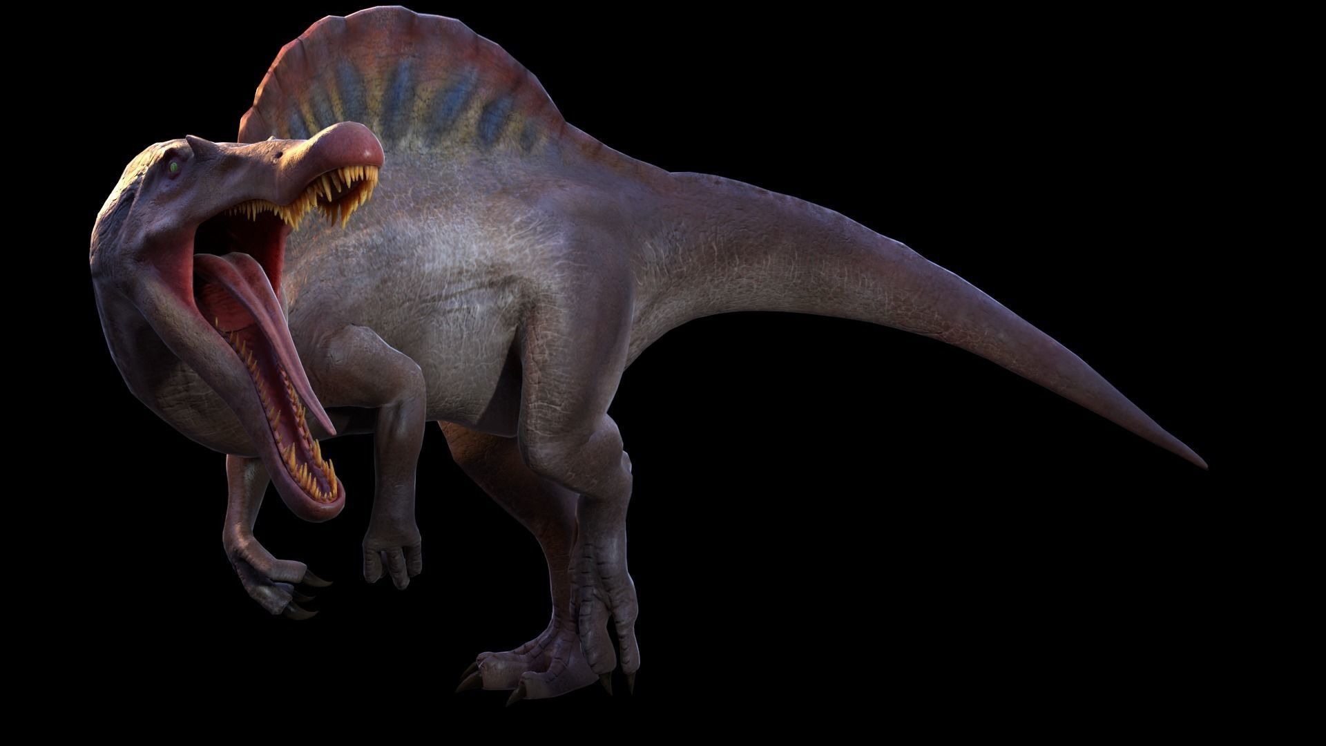 Spinosaurus For your Games or Animations Blender 3D Model  Low-poly 3D model_19