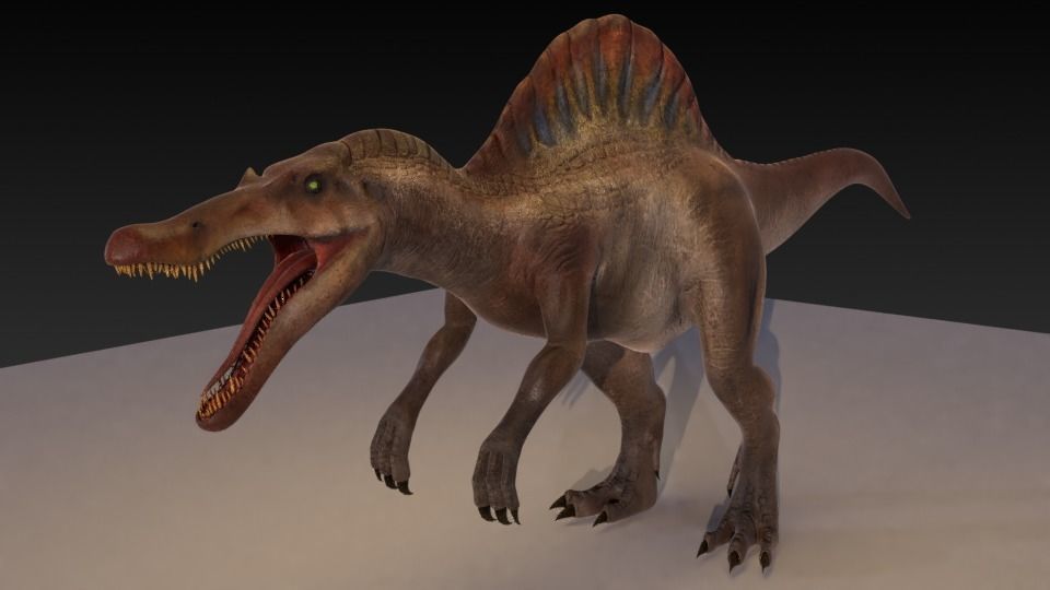 Spinosaurus For your Games or Animations Blender 3D Model  Low-poly 3D model_8