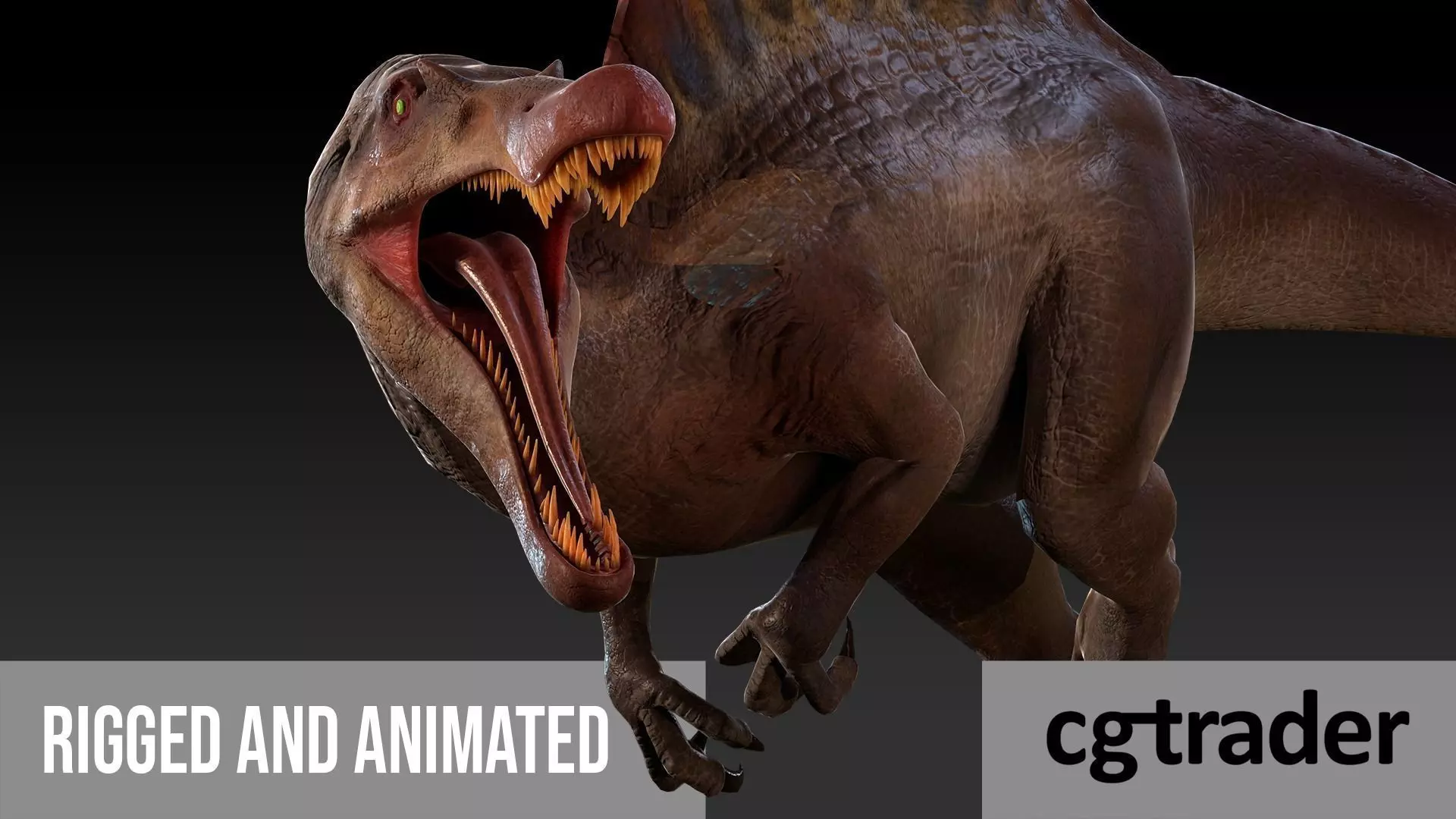 Spinosaurus For your Games or Animations Blender 3D Model  Low-poly 3D model_0