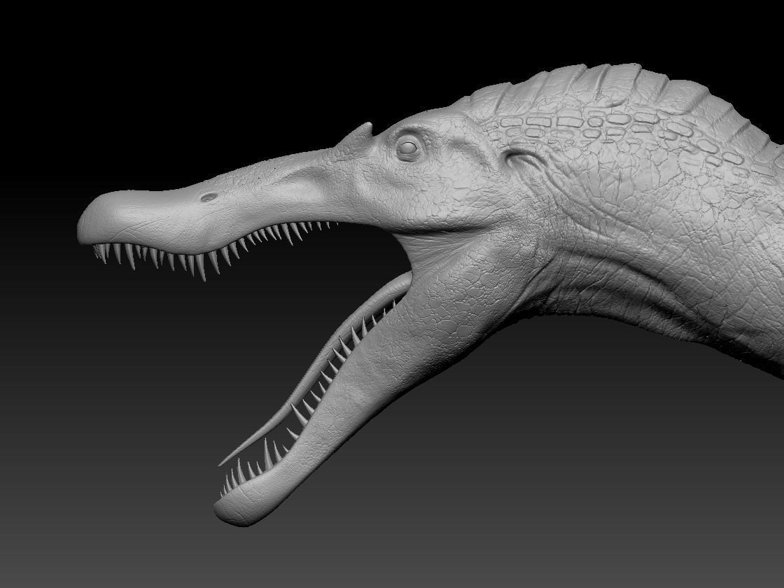 Spinosaurus For your Games or Animations Blender 3D Model  Low-poly 3D model_11