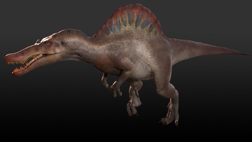 Spinosaurus For your Games or Animations Blender 3D Model  Low-poly 3D model_5