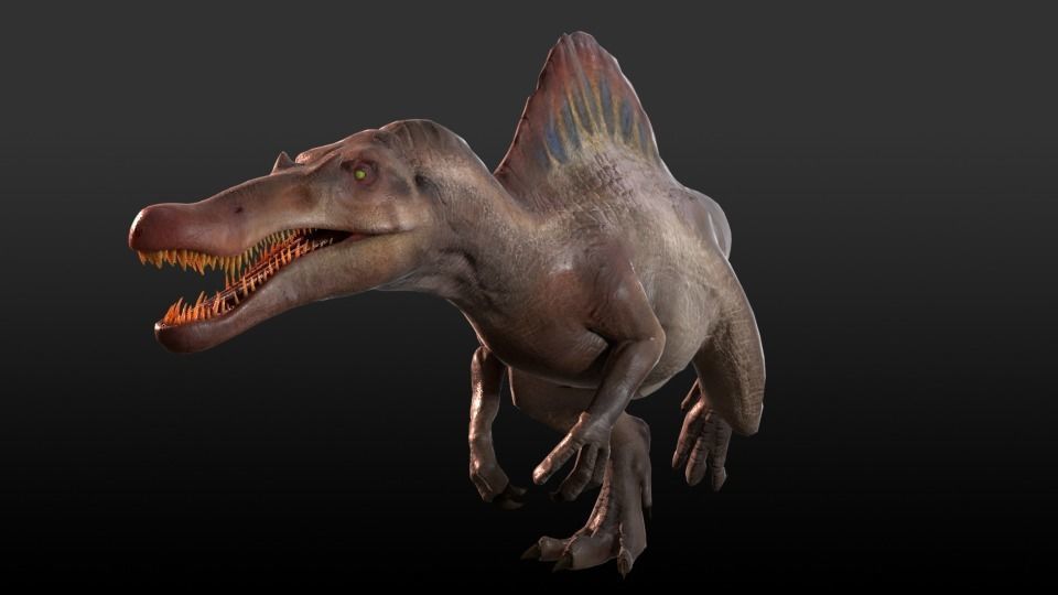 Spinosaurus For your Games or Animations Blender 3D Model  Low-poly 3D model_6