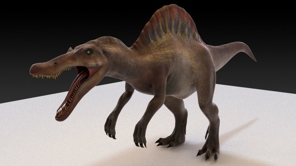 Spinosaurus For your Games or Animations Blender 3D Model  Low-poly 3D model_7