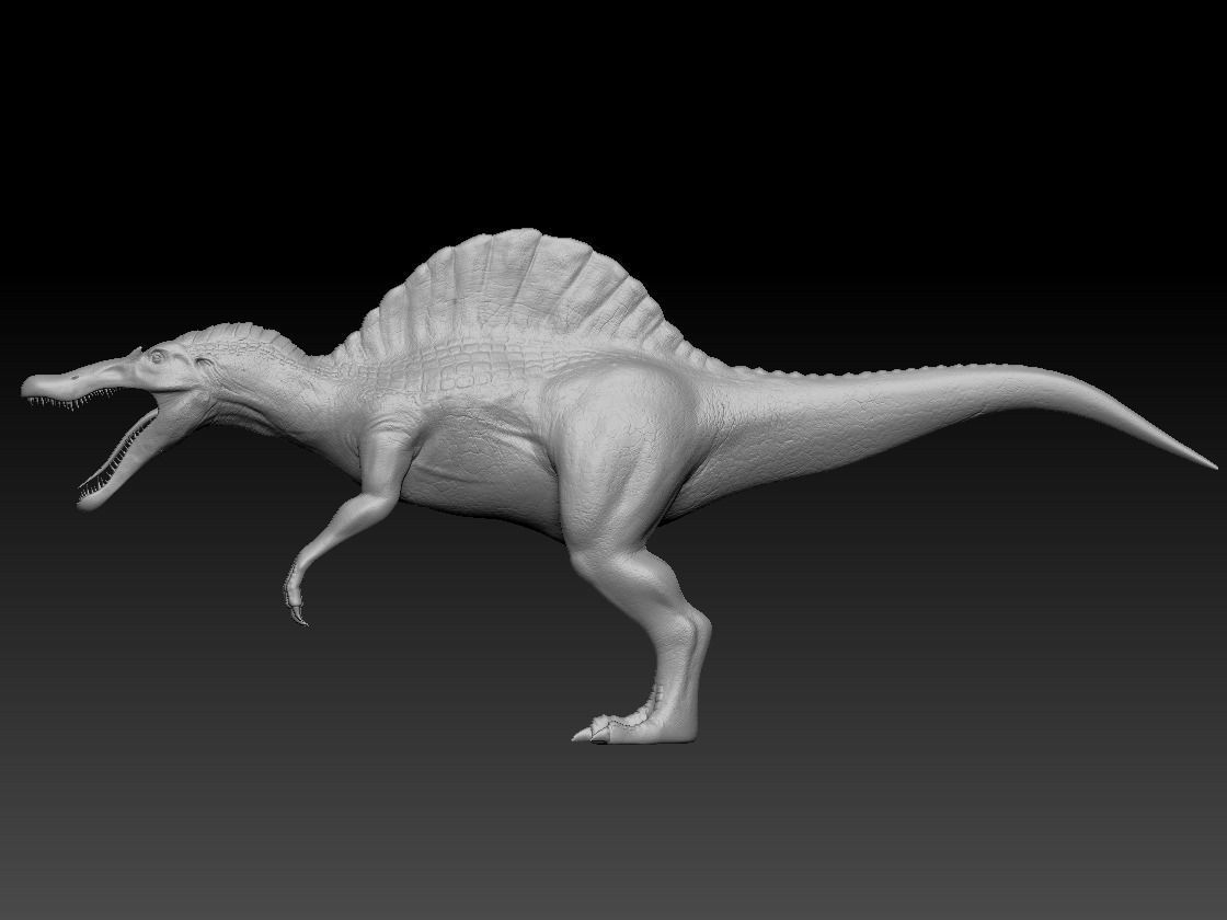 Spinosaurus For your Games or Animations Blender 3D Model  Low-poly 3D model_14