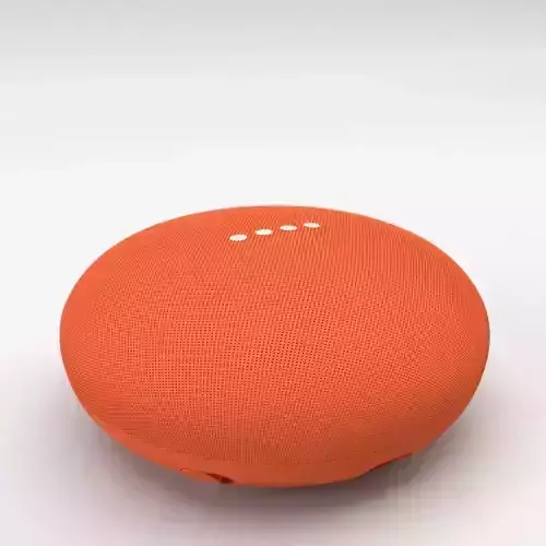 Google Home Mini Coral