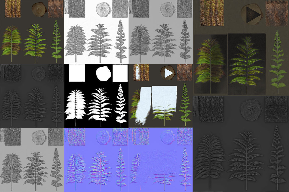 Alsophila Fern average LOW Low-poly 3D model_2