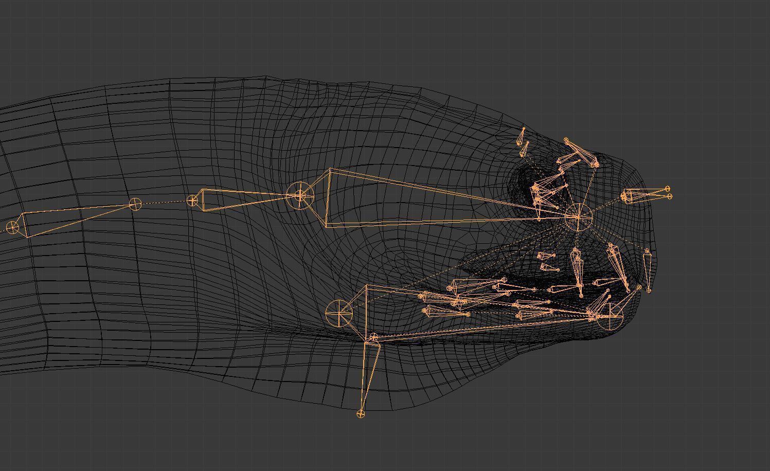Turtle Low-poly 3D model_26