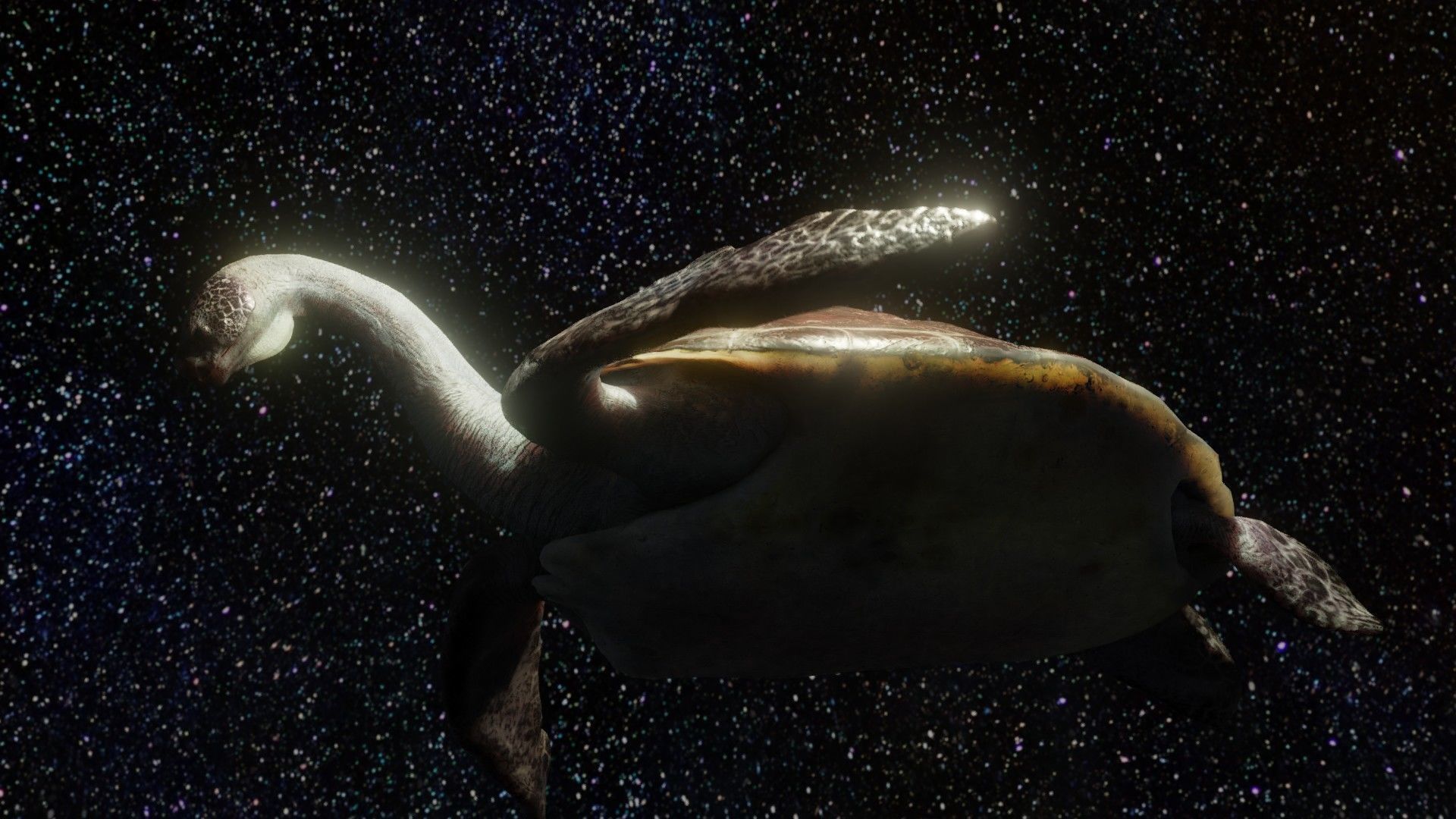 Turtle Low-poly 3D model_3