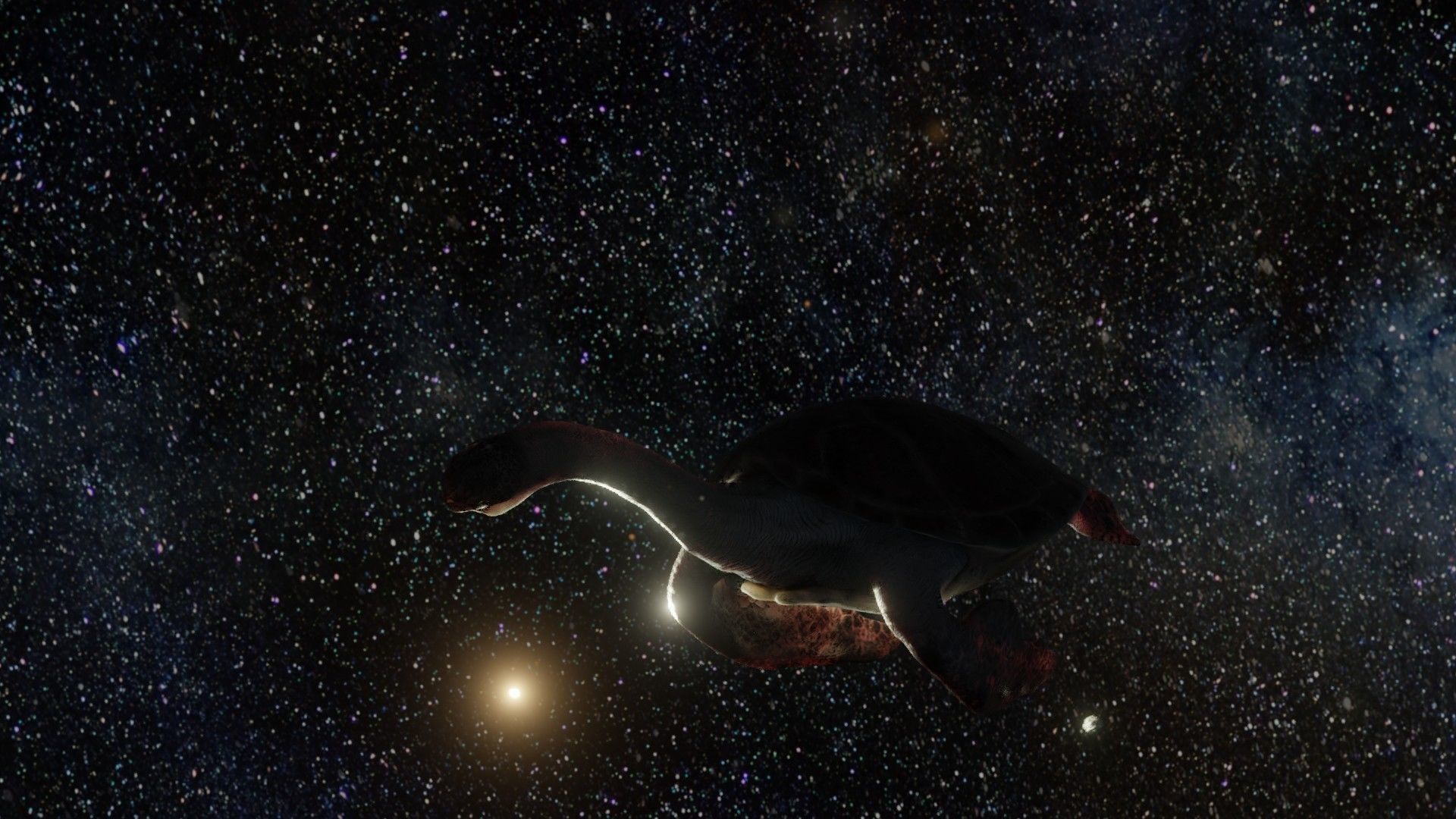 Turtle Low-poly 3D model_14