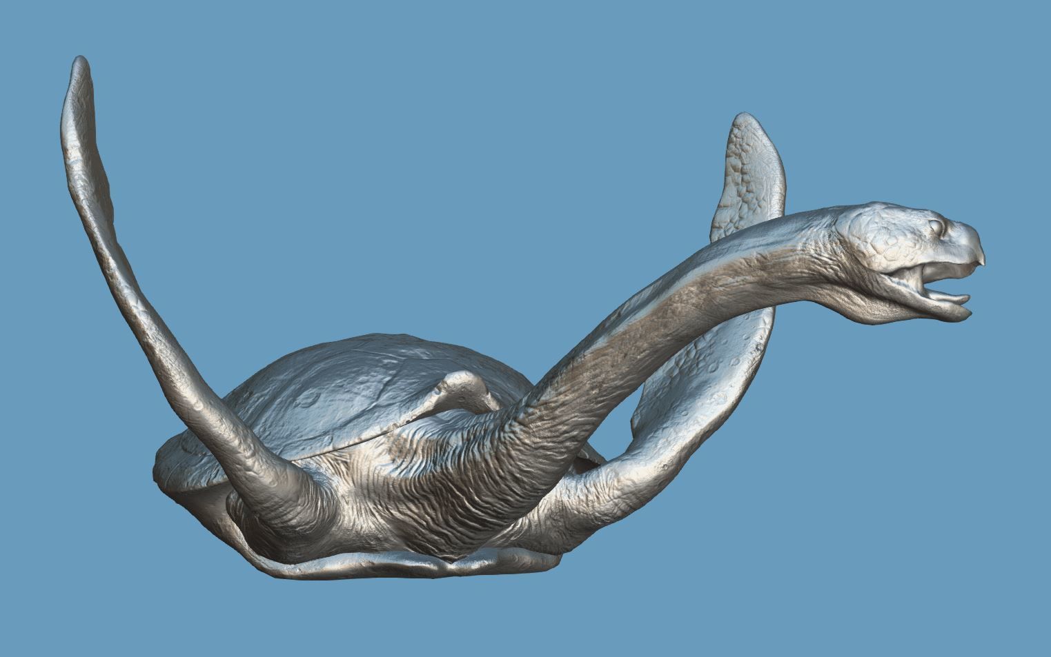 Turtle Low-poly 3D model_18