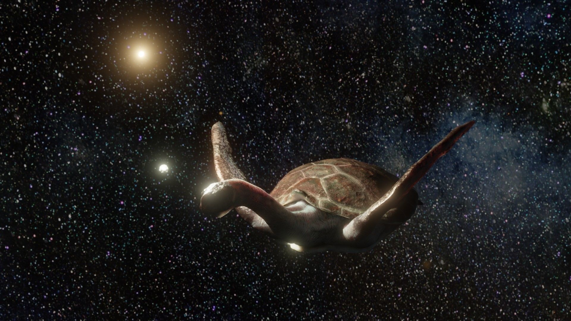 Turtle Low-poly 3D model_10