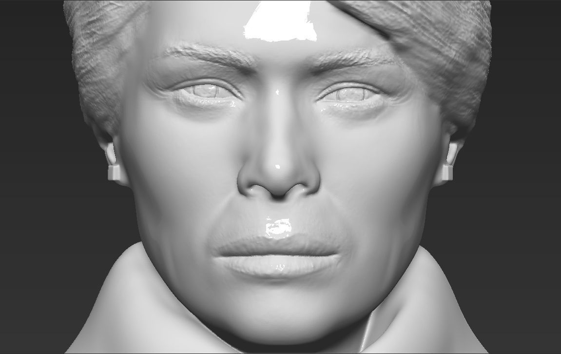 Melania Trump bust 3D printing ready stl obj formats 3D print model_23