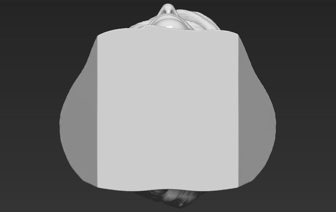 Melania Trump bust ready for full color 3D printing 3D print model_54