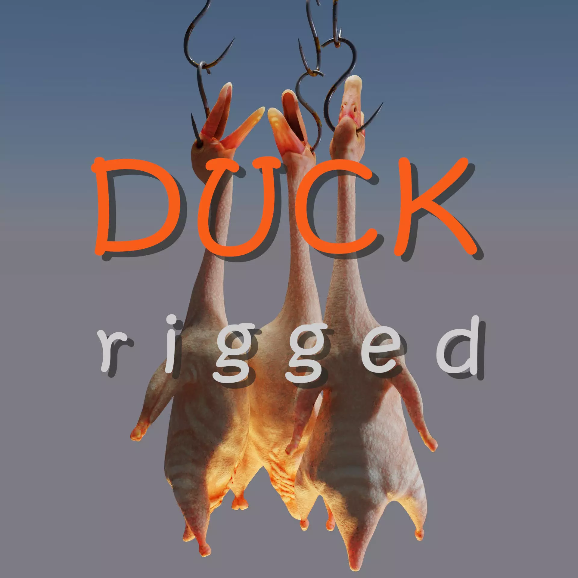 Duck rigged 3D model_0