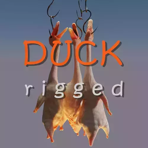 Duck rigged