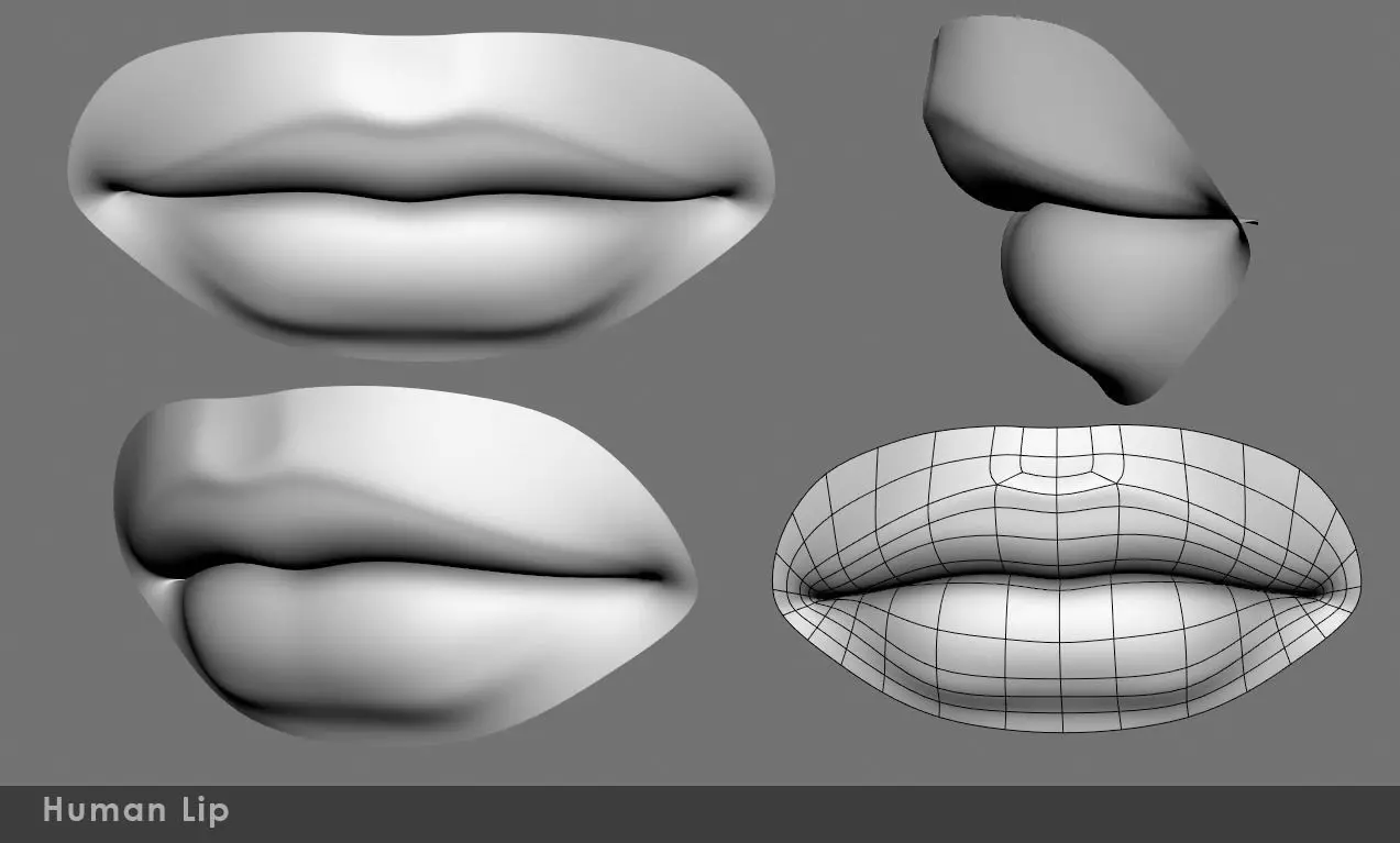 Lip  female 3D model_0
