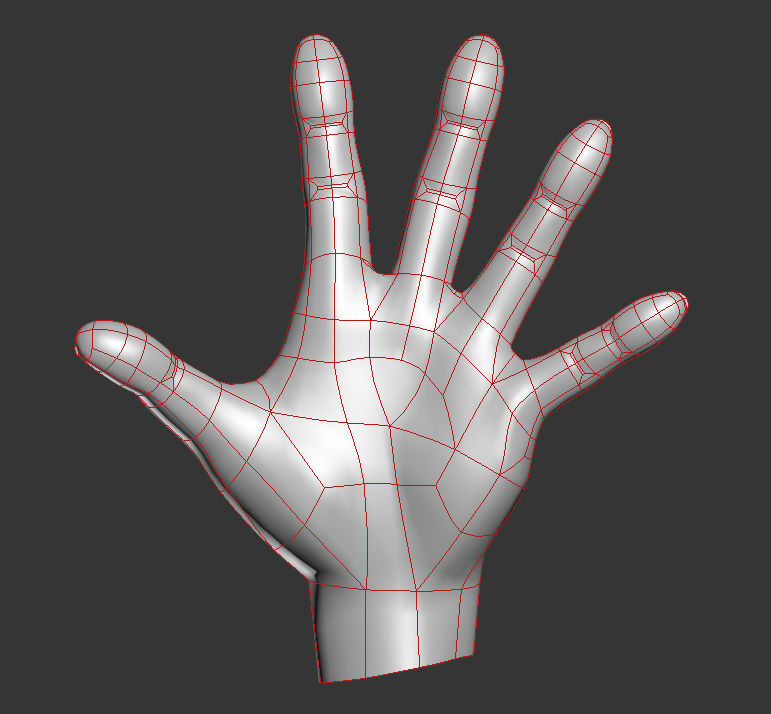 Hand Spline Model 3D model CGTrader