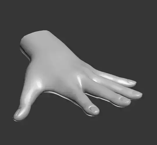 Hand Spline Model