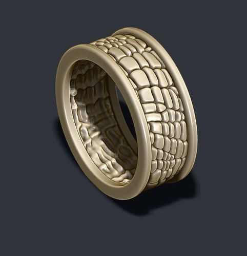 Skin ring 3D print model