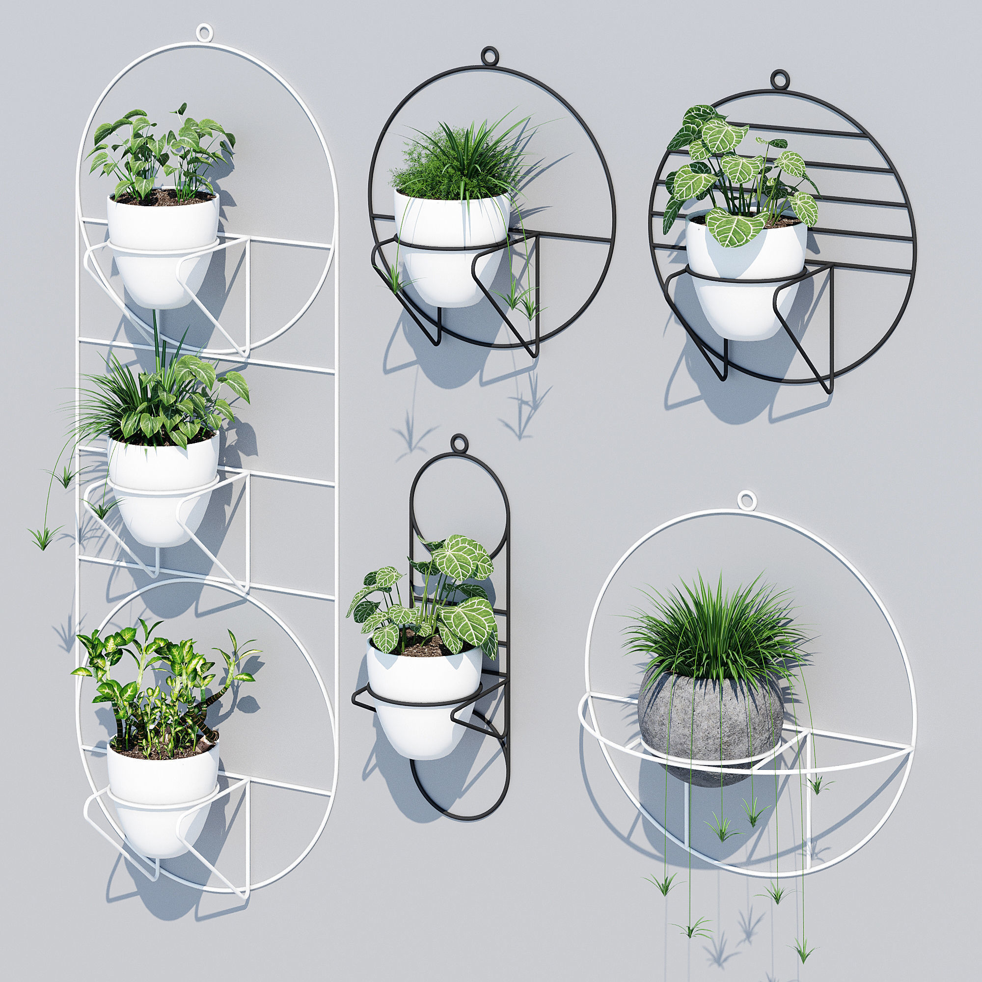Cosmo sol 3D model_2