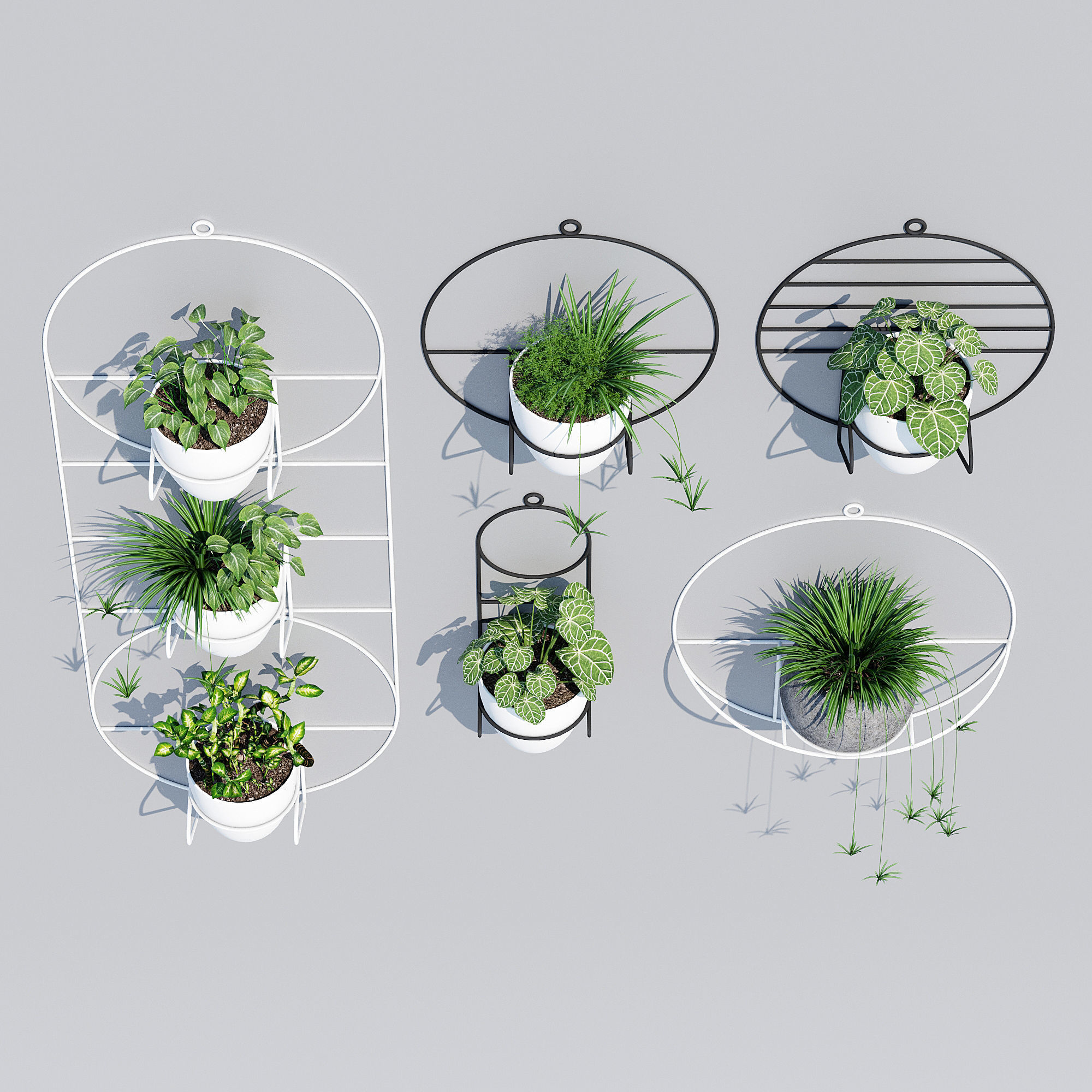 Cosmo sol 3D model_3